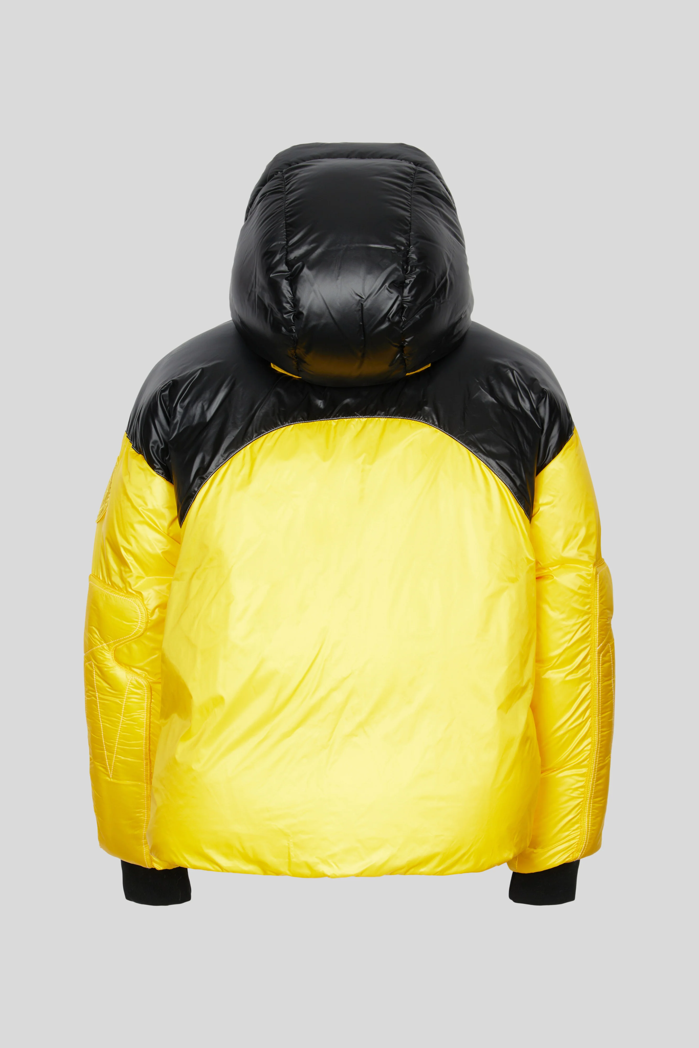CG Disc - Puffer 001 - Image 2