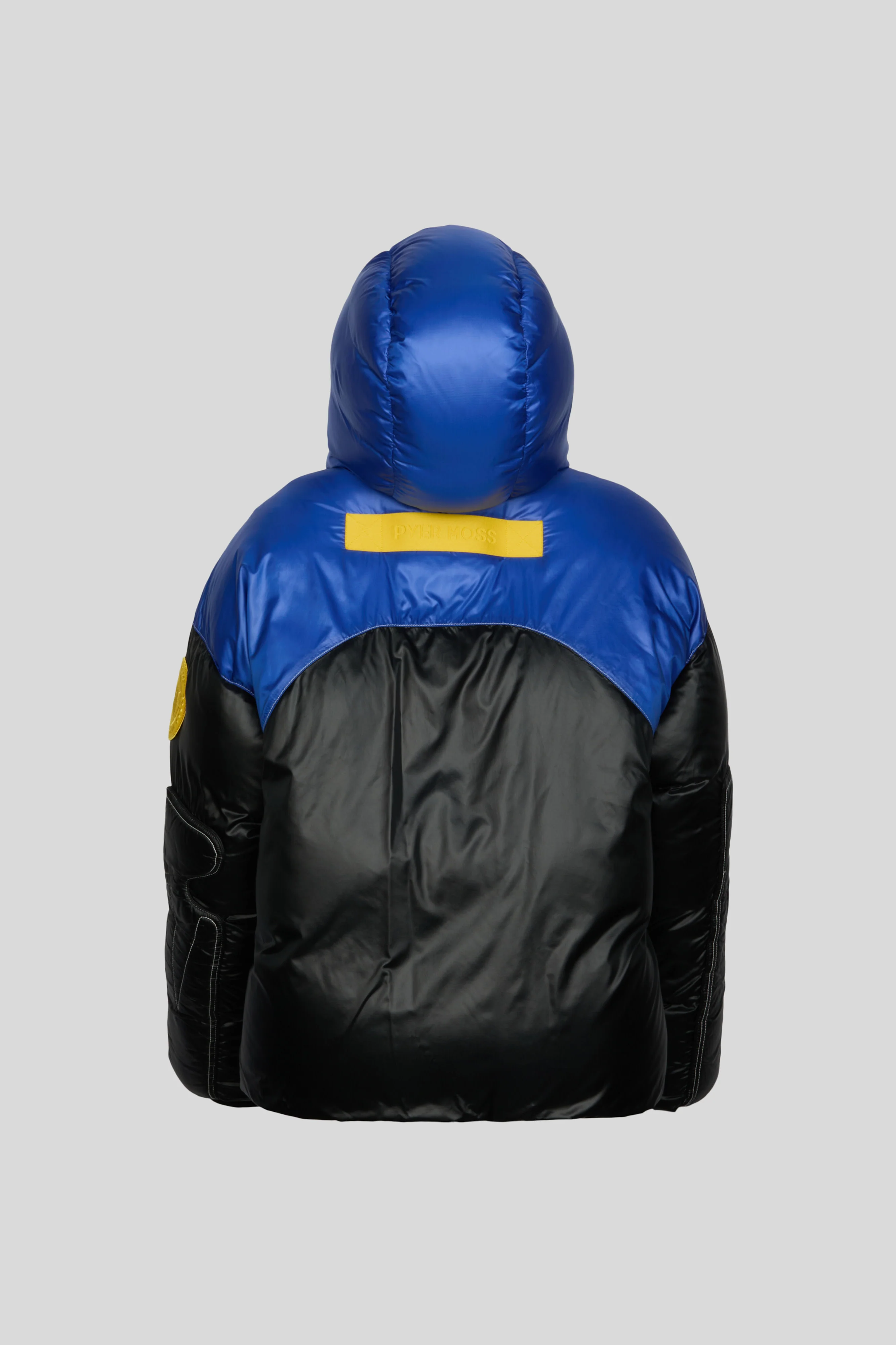 CG Disc - Puffer 001 - Image 2