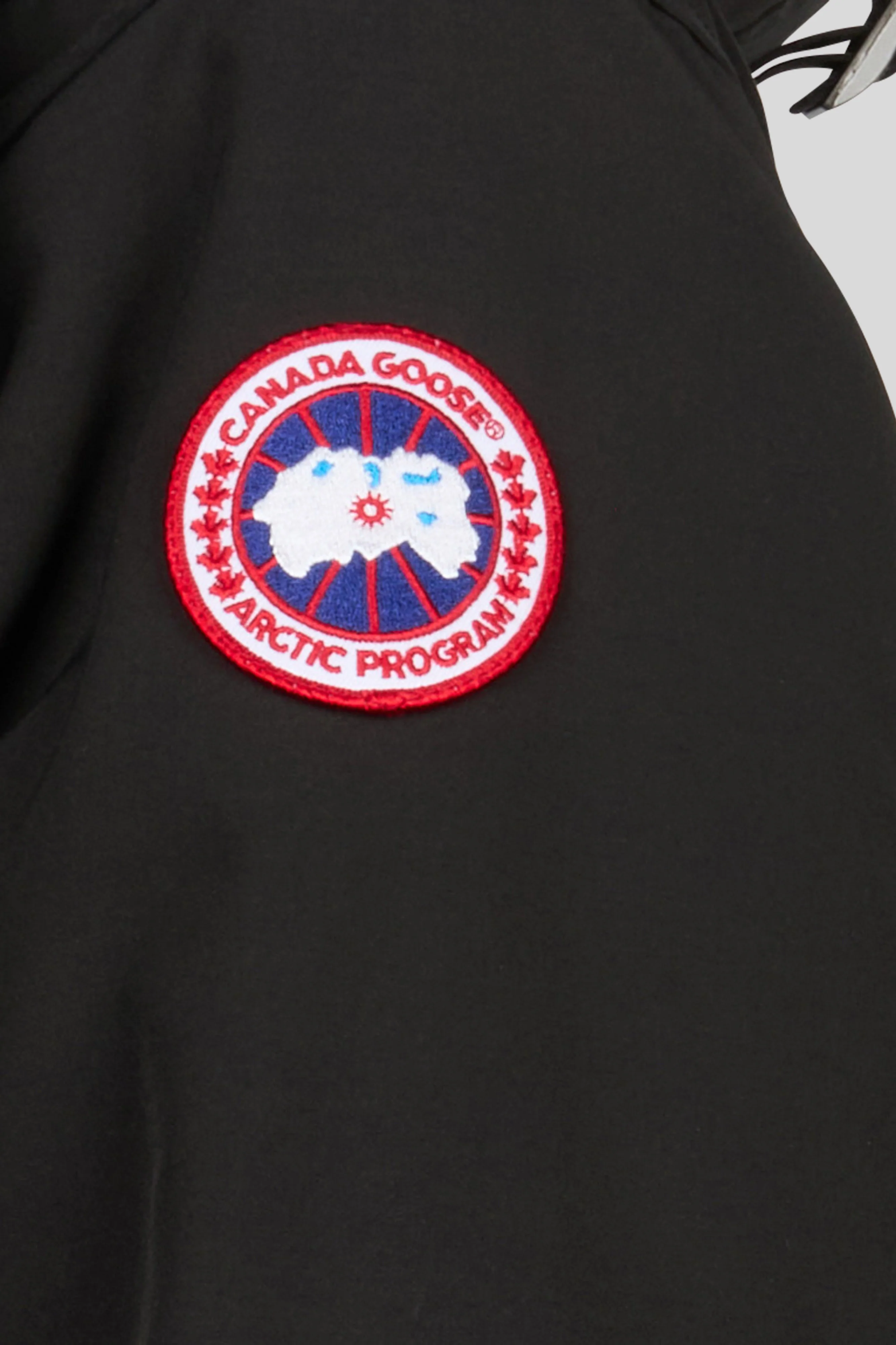 Langford Parka with Hood Trim - Image 4