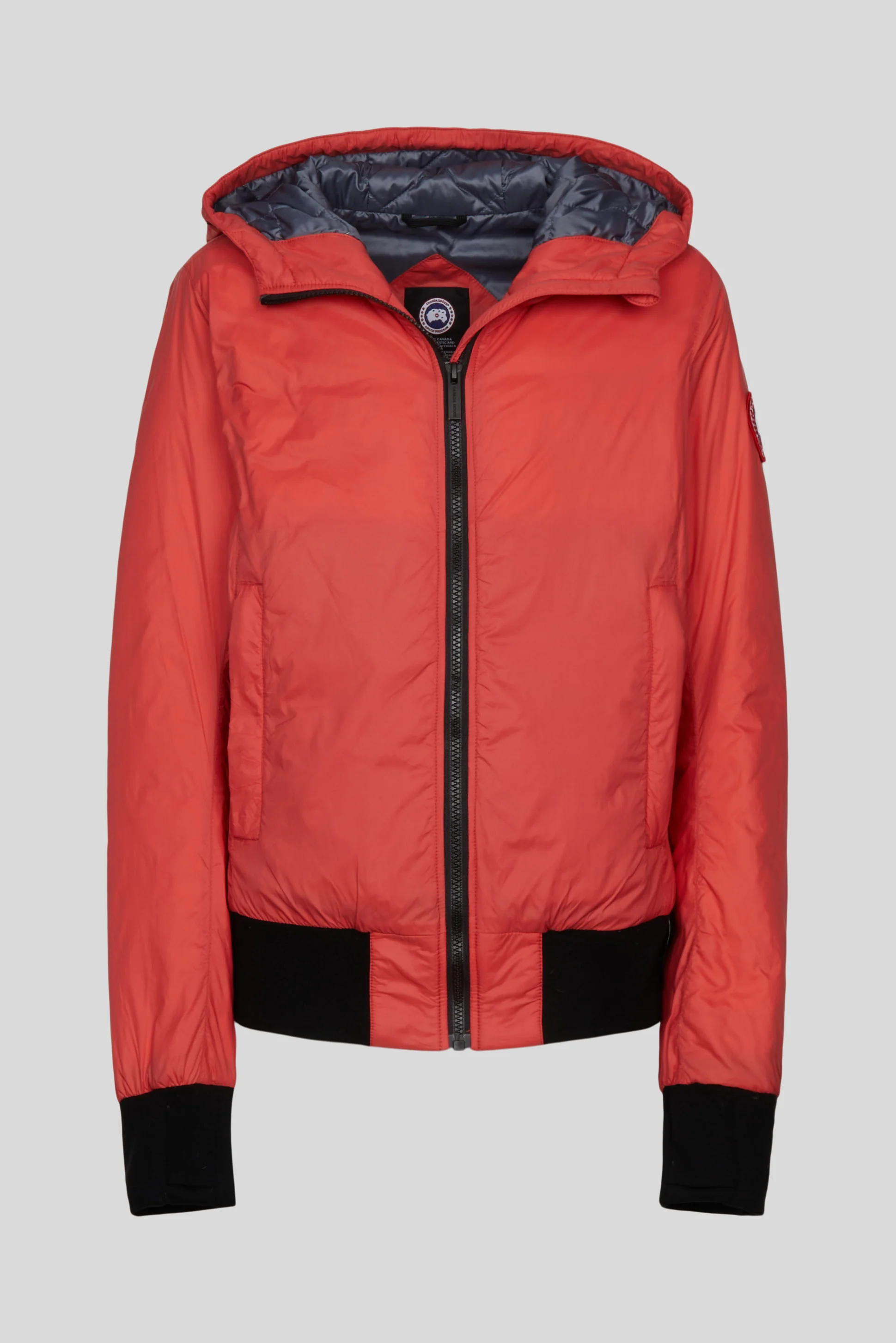 Dore Hoody