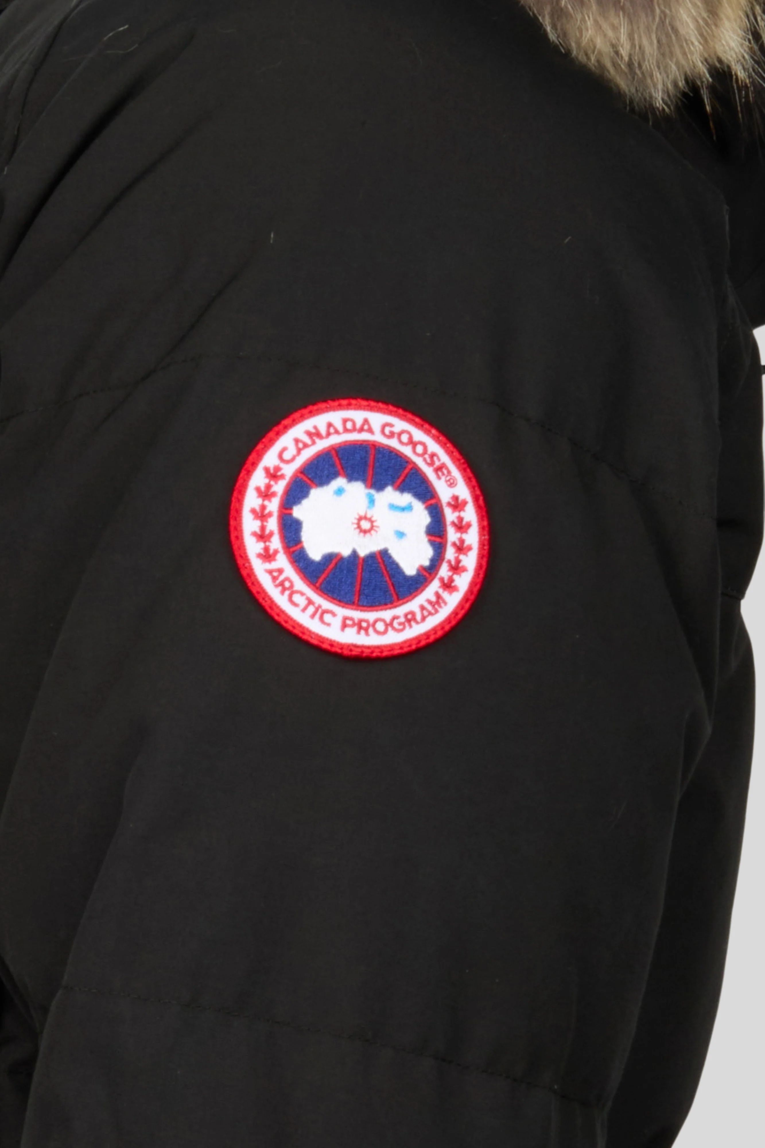 Emory Parka - Image 3