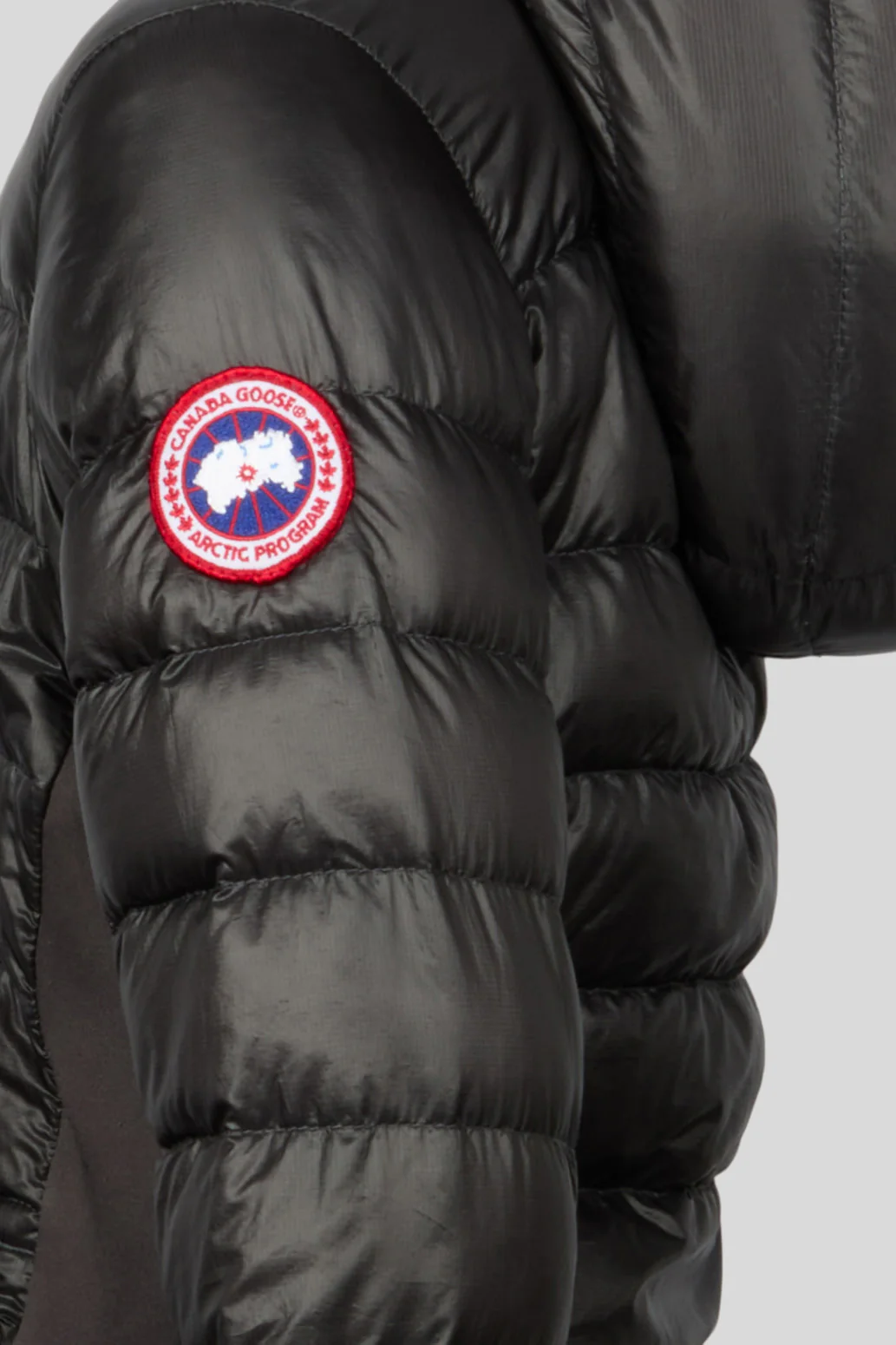 HyBridge Lite Hoody - Image 4