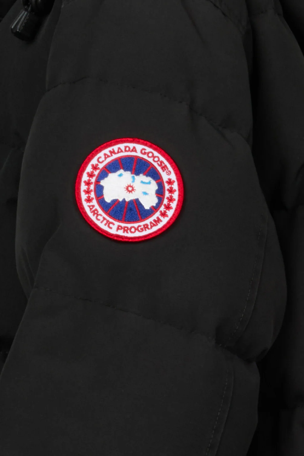 Carson Parka - Image 4