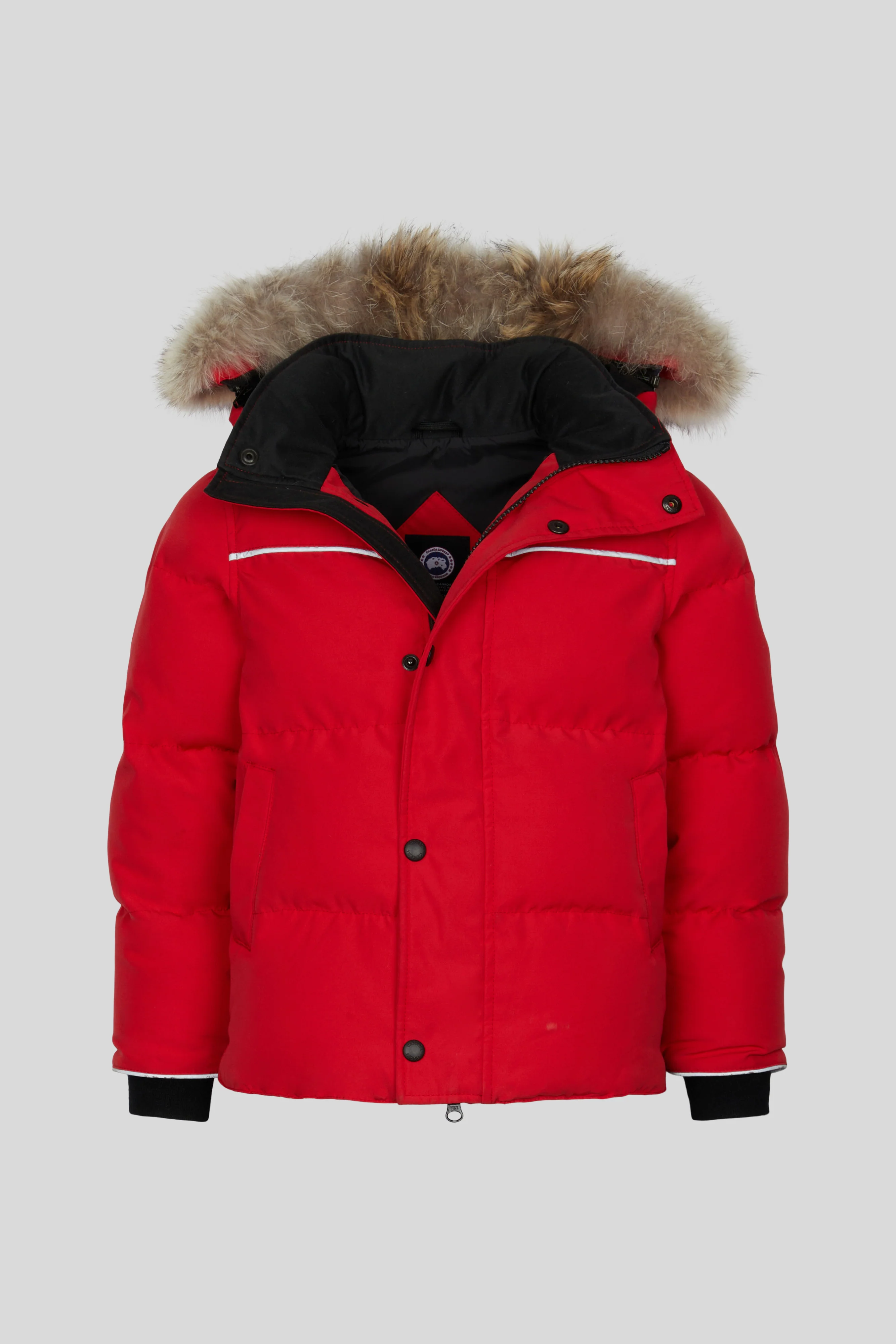 Snowy Owl Parka
