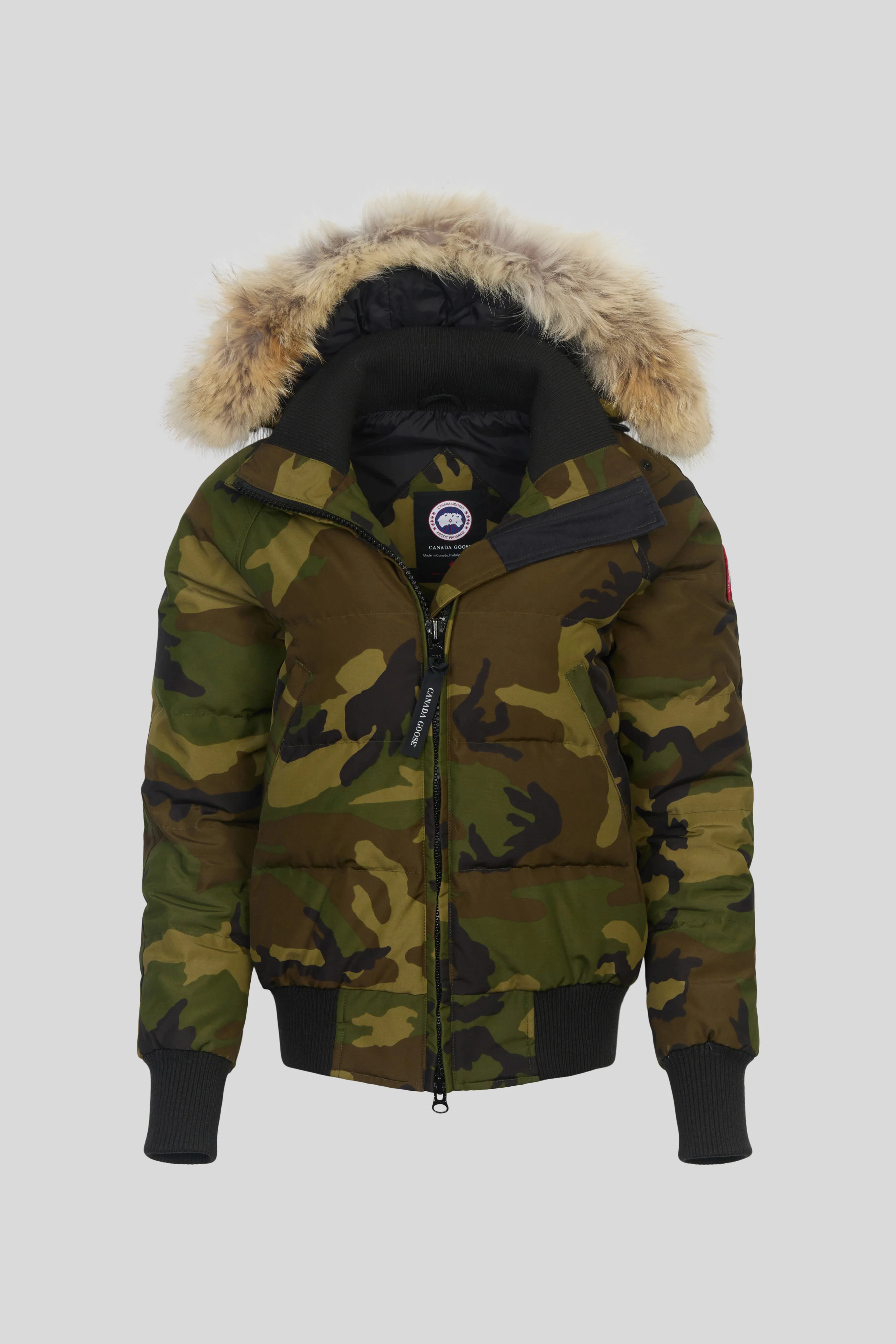 Savona Bomber