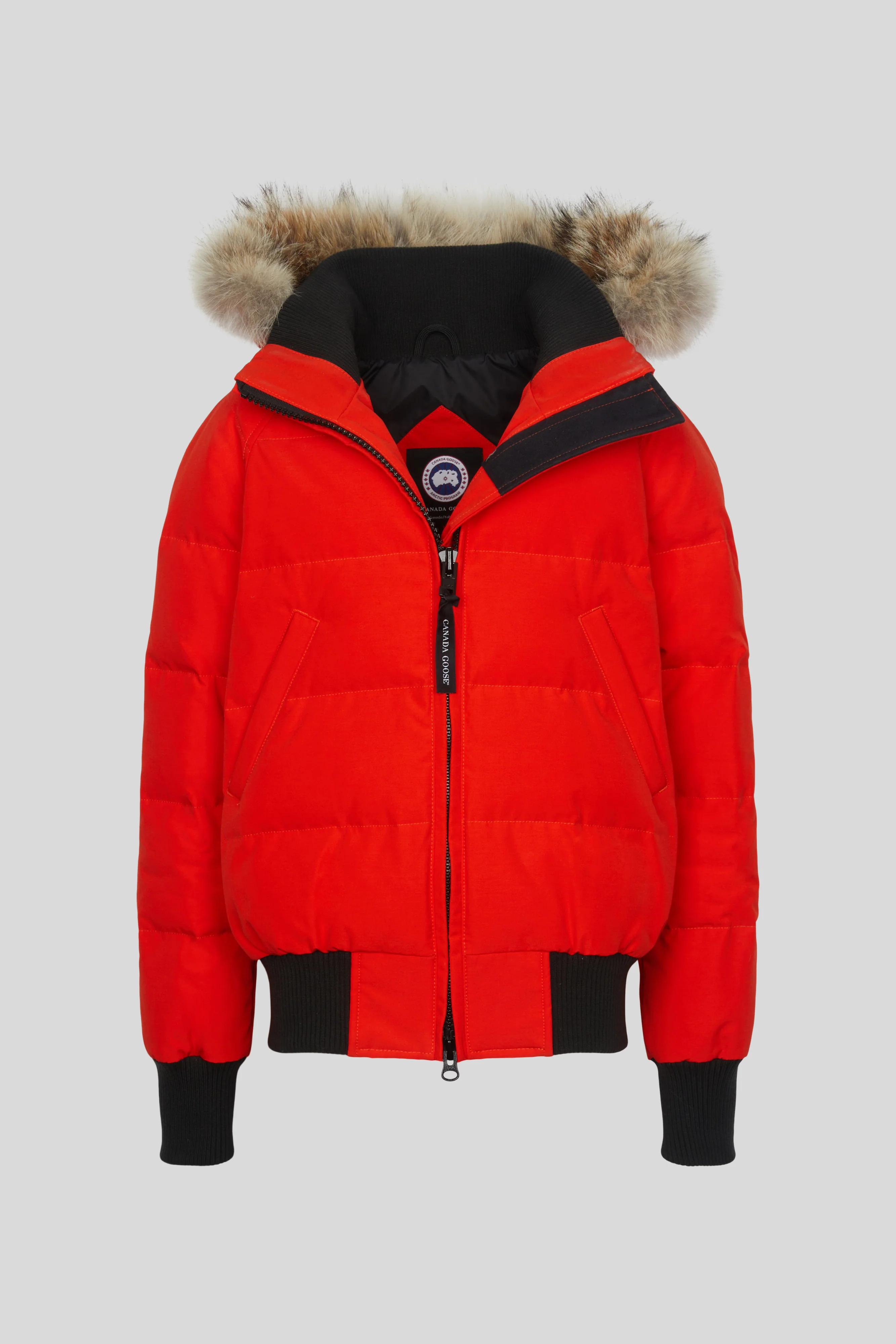 Savona Bomber