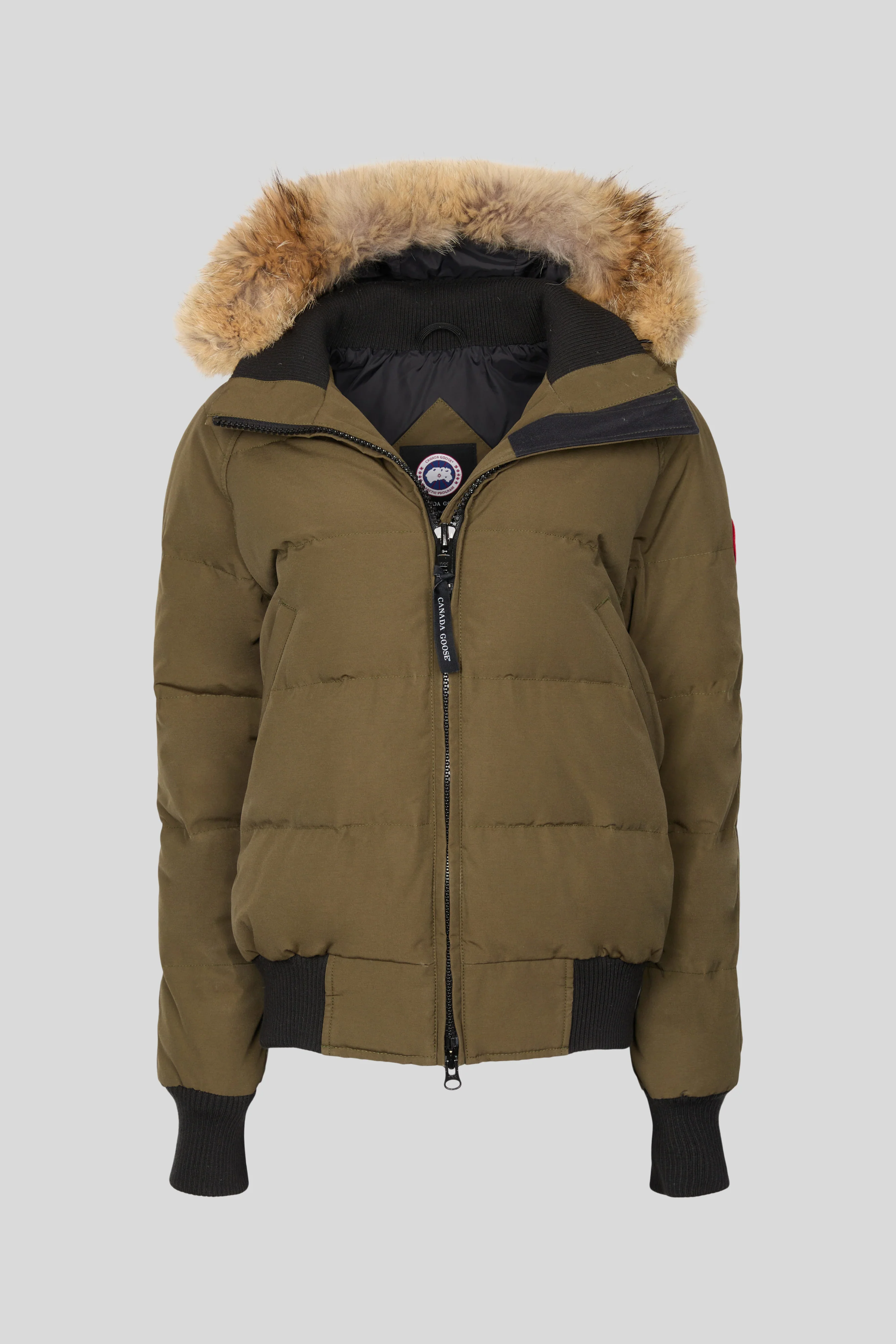 Savona Bomber