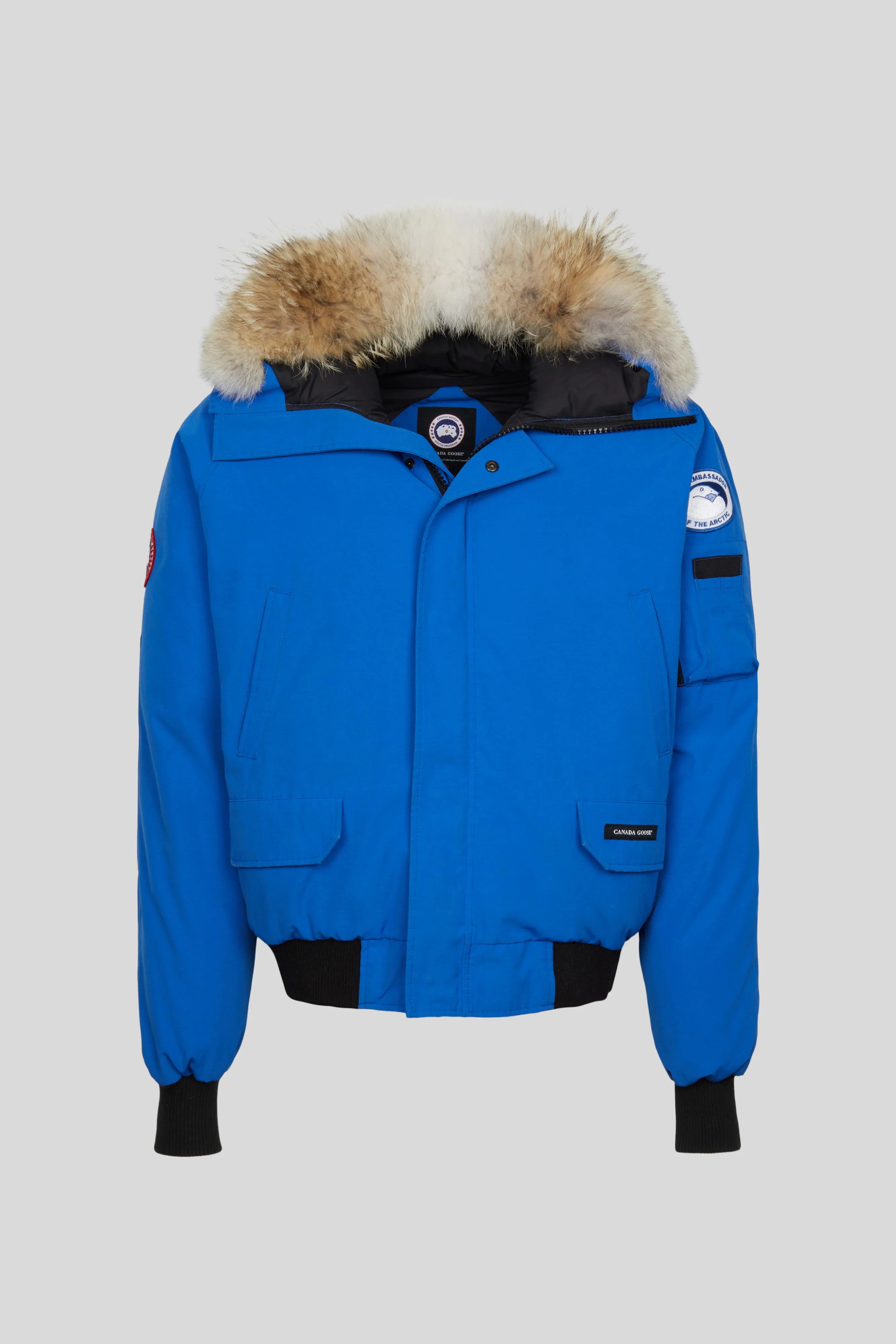 PBI Chilliwack Bomber
