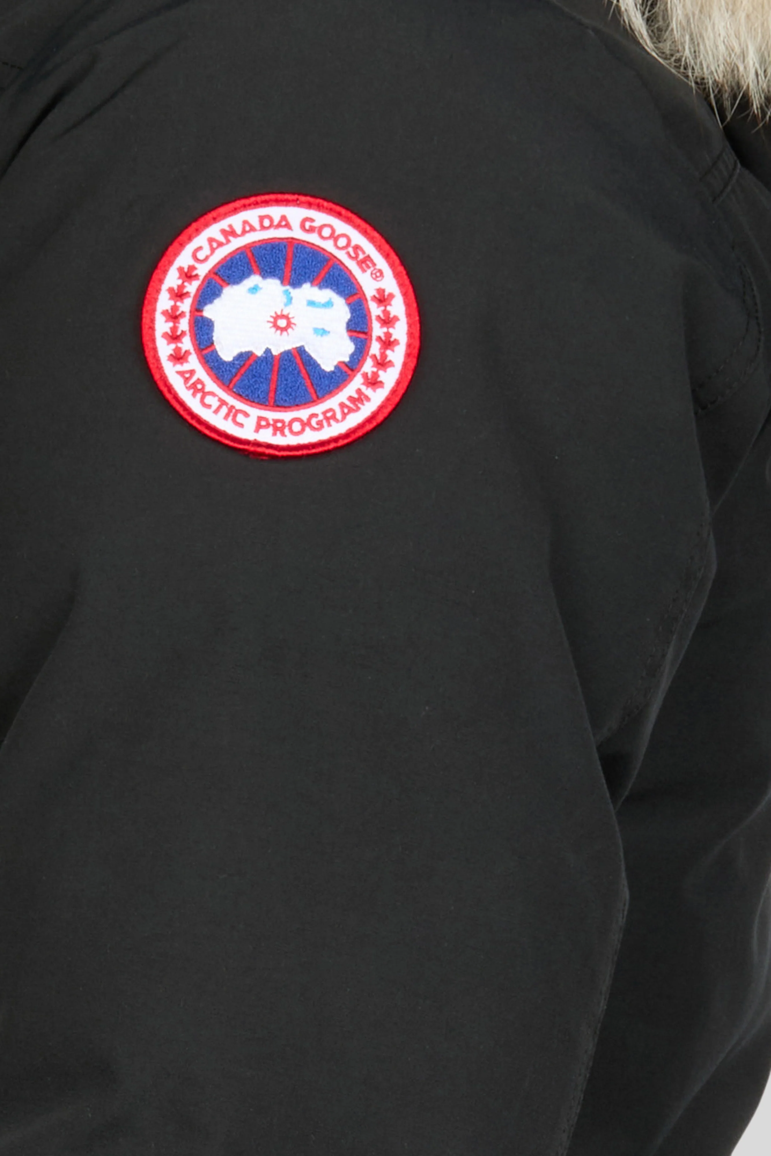 Borden Bomber - Image 3