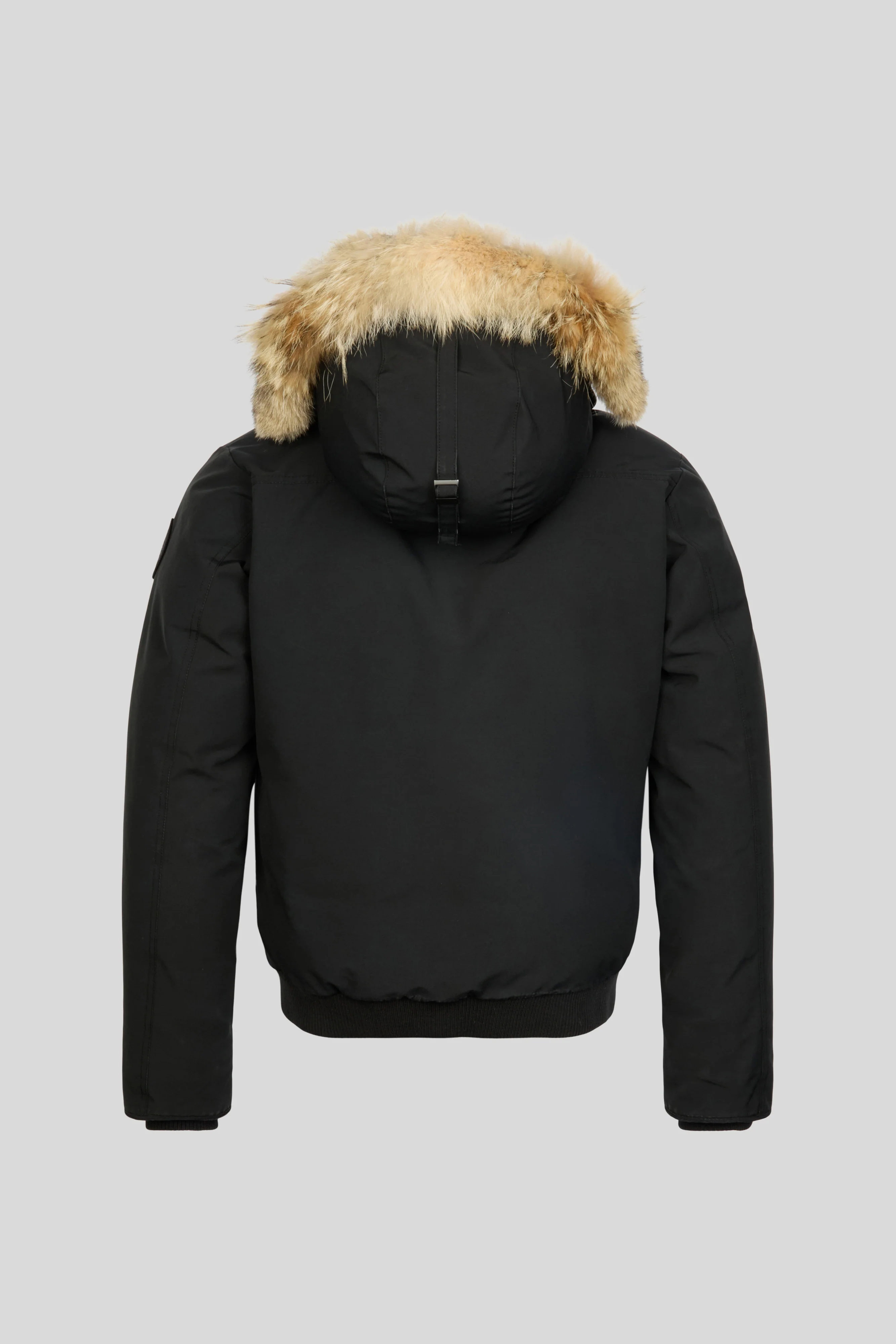 Borden Bomber Heritage - Image 2