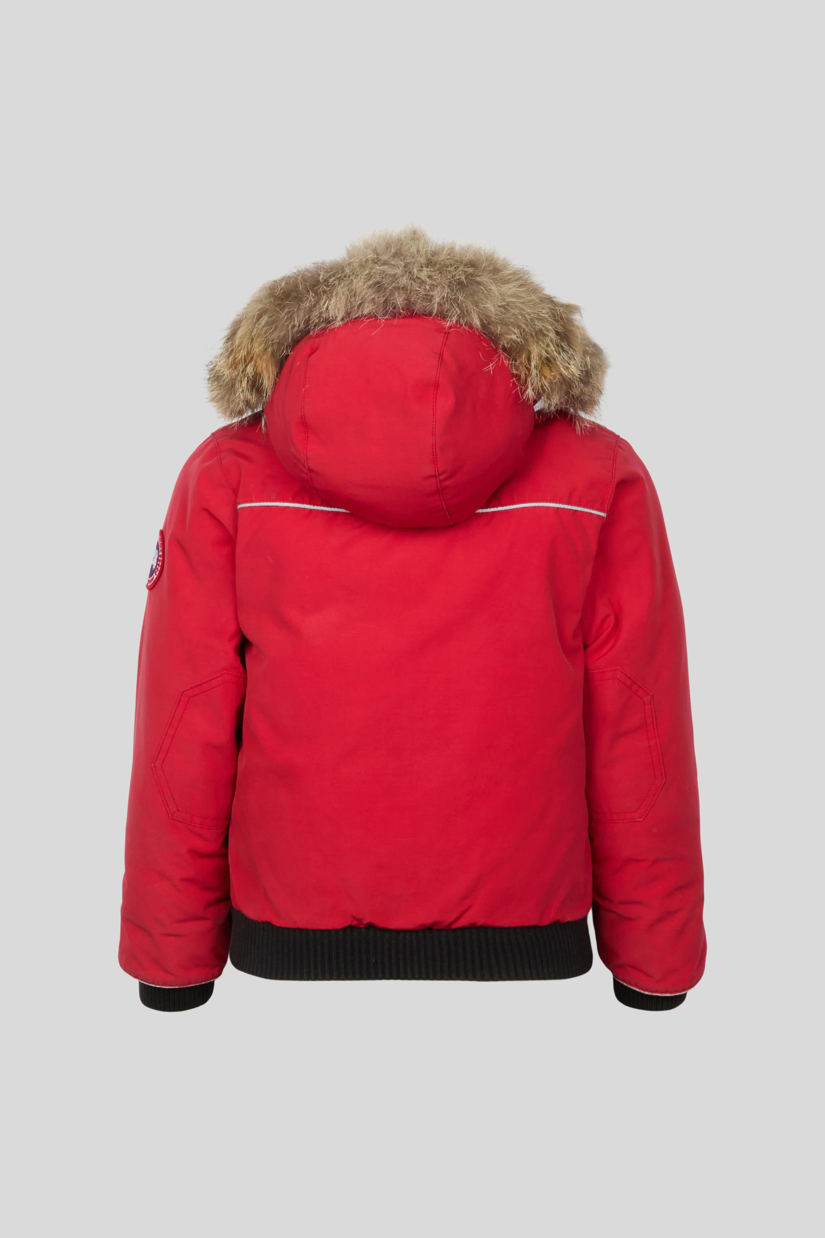 Grizzly Bomber - Image 2