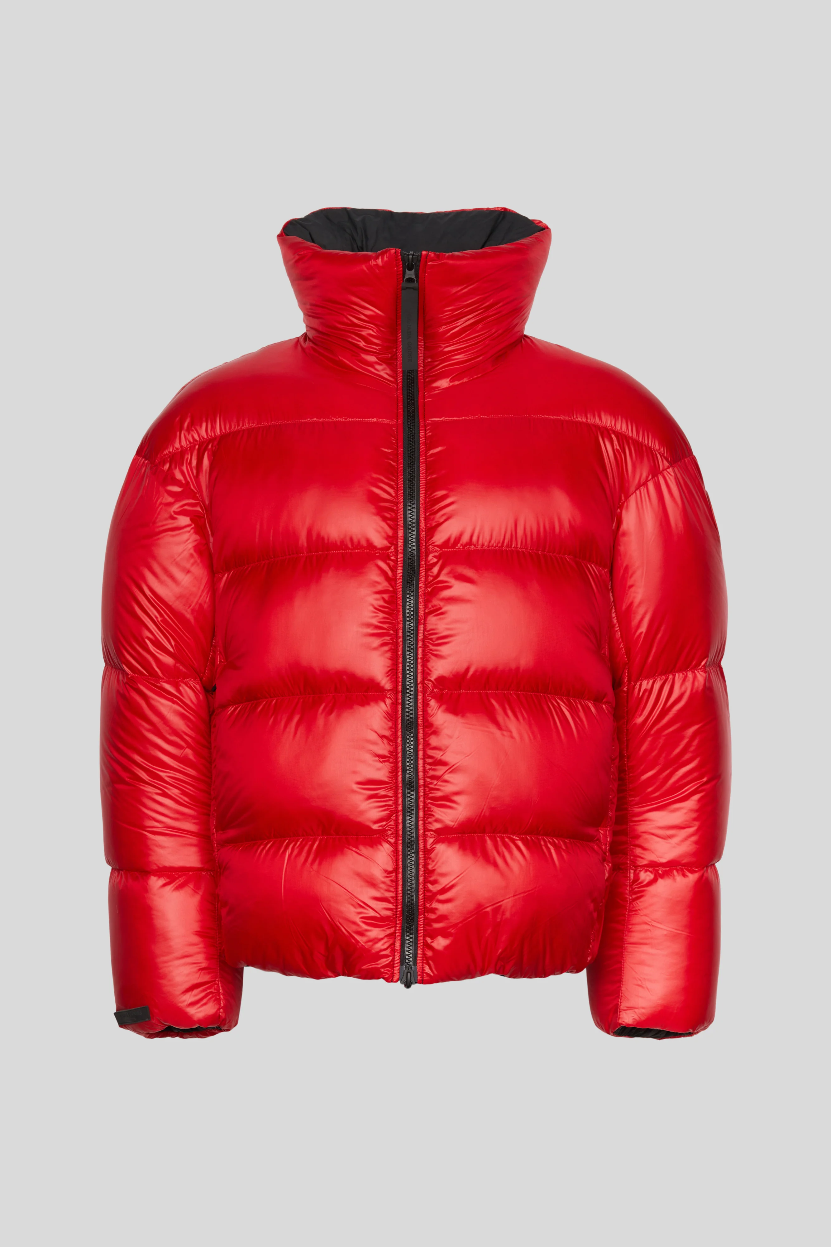 Bayan Puffer