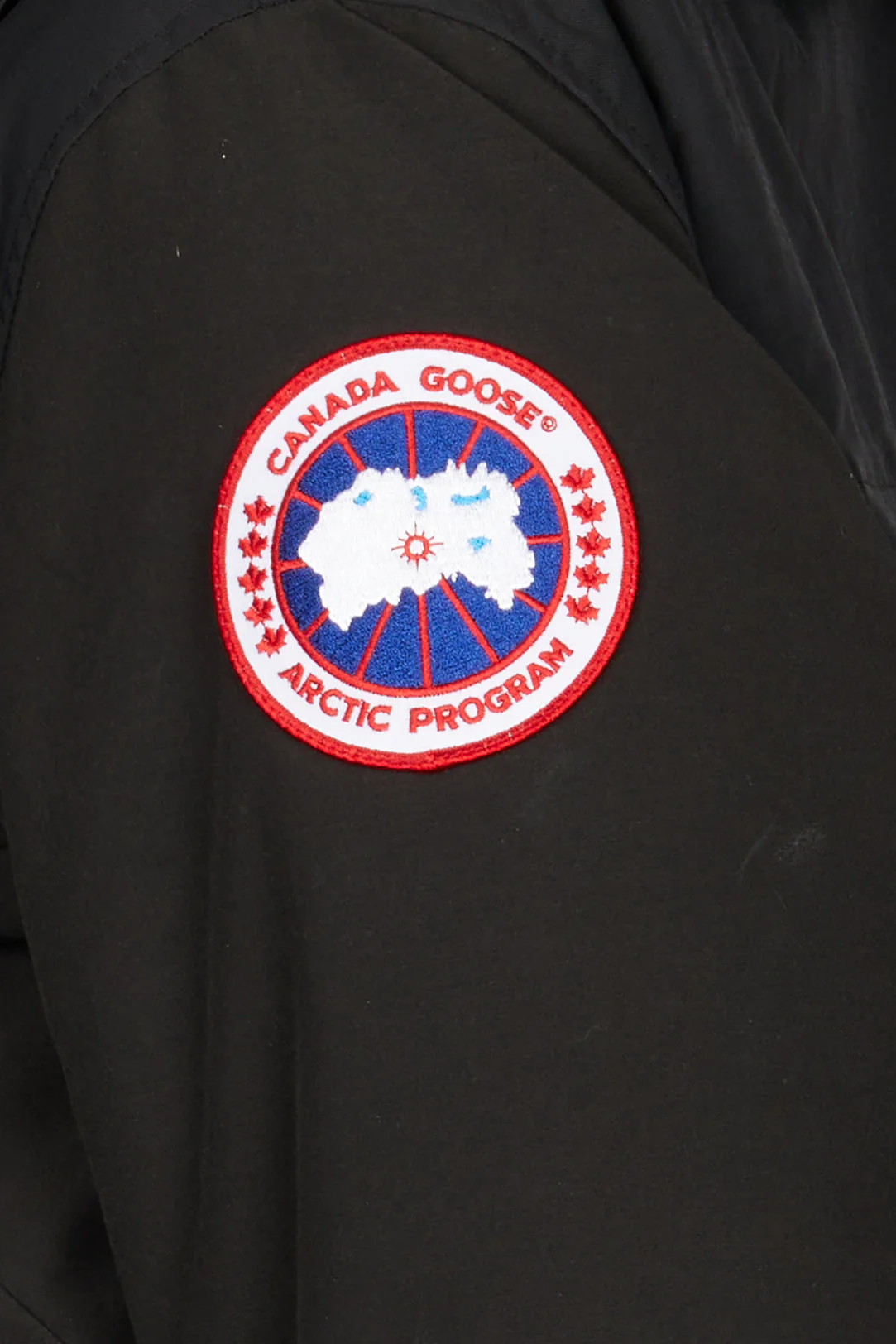 Erickson Parka - Image 3